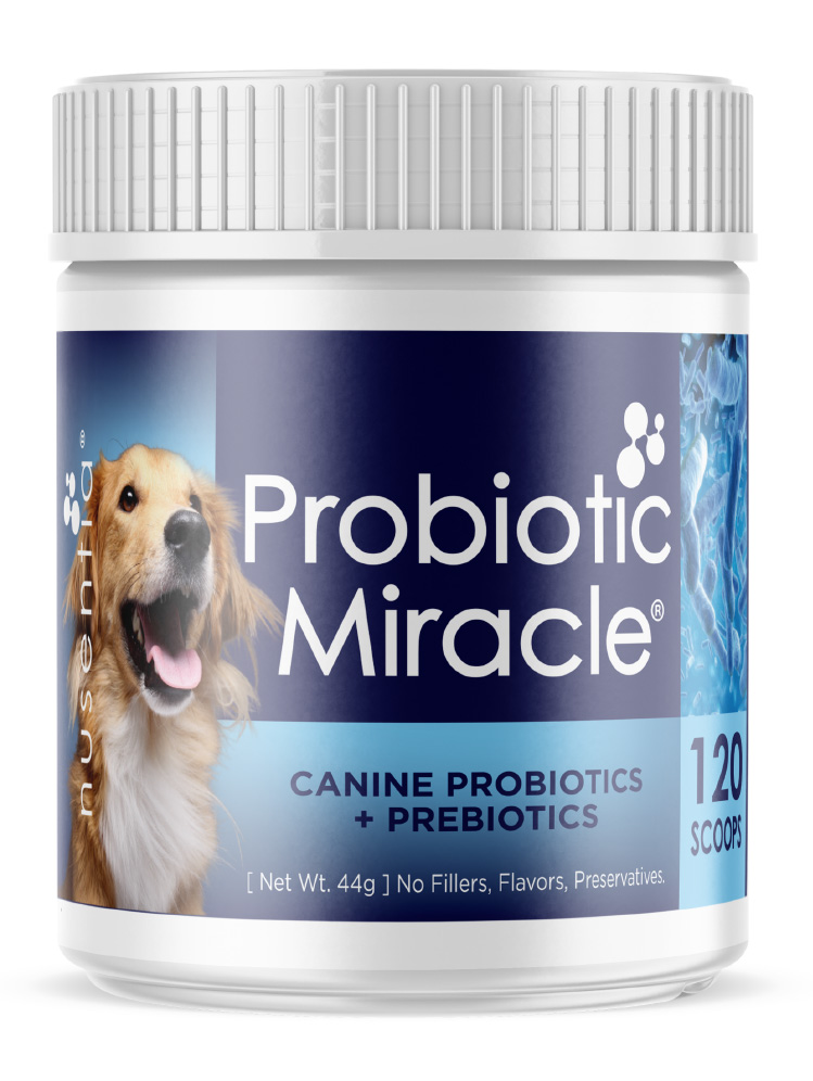 probiotic miracle uk amazon