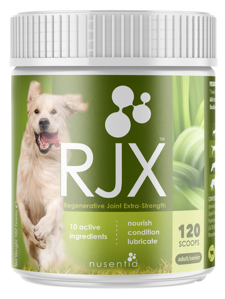 RJX joint supplement dogs
